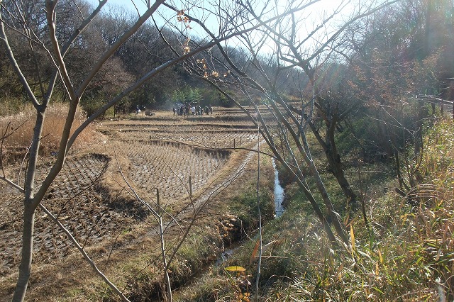e0070891_1749469.jpg