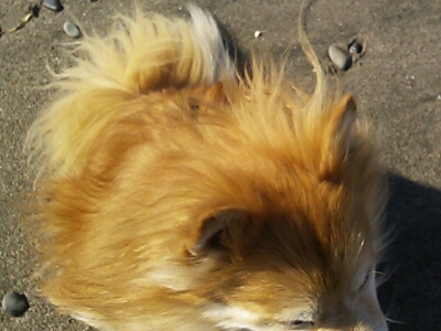 c0128896_5544063.jpg