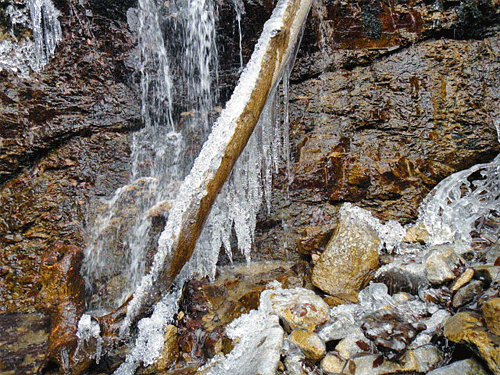 b0108100_21444153.gif