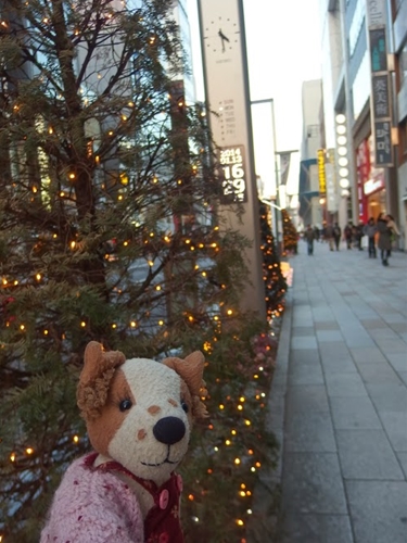 ［ぬいぐるみのお仕事］もうすぐチェロの日！ぬいぐるみさんたちのお仕事にも熱が入っているご様子です。_f0256400_8243543.jpg