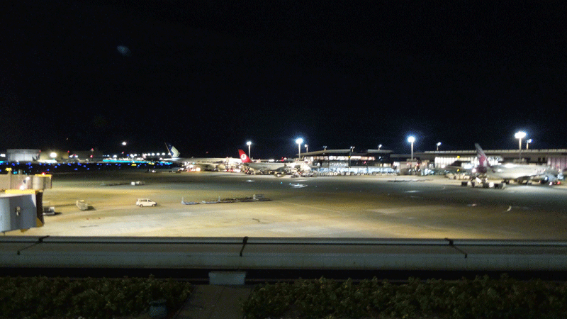 c0051105_22321532.png