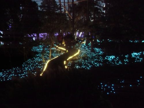新年ご挨拶ー2_e0240310_21582861.jpg