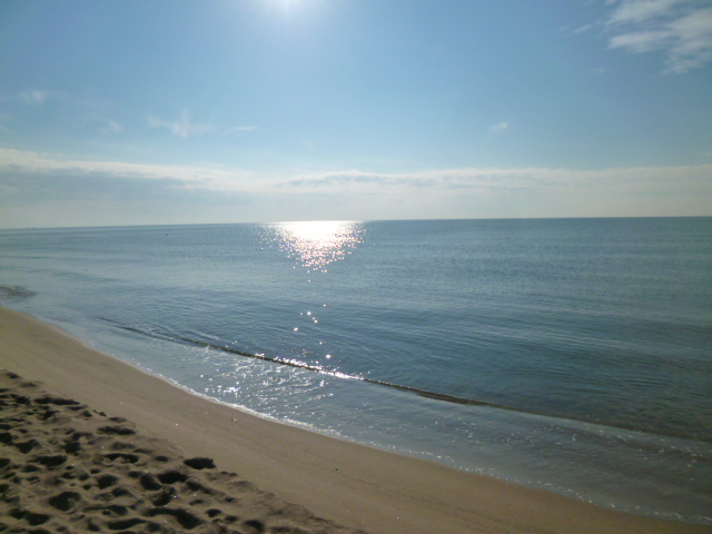 ちょっと海までお散歩♪_f0315911_72165.jpg