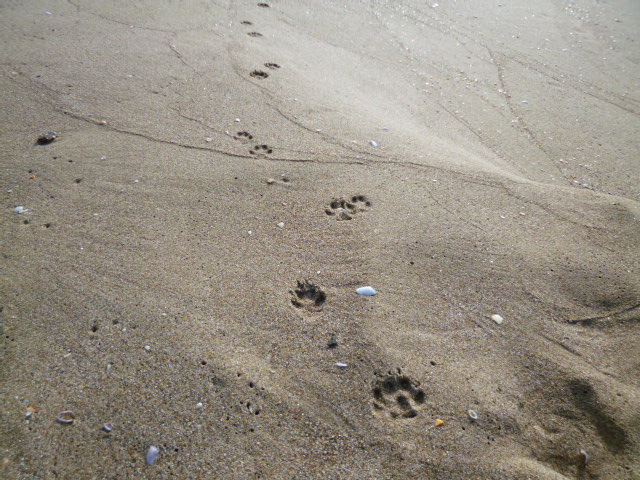 f0315911_730694.jpg
