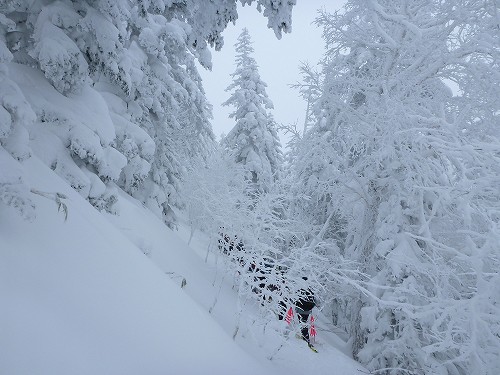 三段山オフミ、第二弾_c0048117_839288.jpg