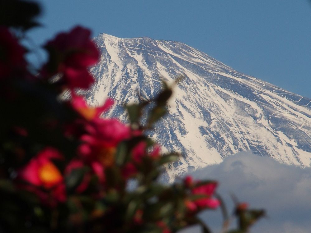 富士山を撮る・・・ちょっと違った視点で・・・_a0031821_20292523.jpg