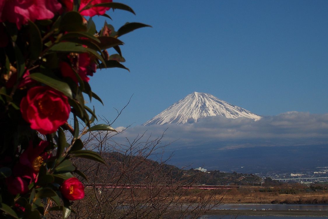 富士山を撮る・・・ちょっと違った視点で・・・_a0031821_20325660.jpg