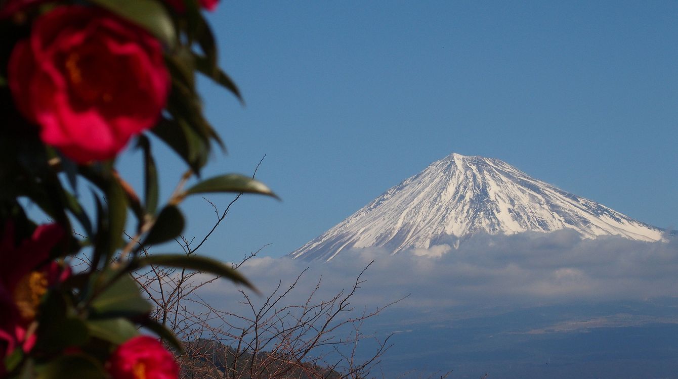 富士山を撮る・・・ちょっと違った視点で・・・_a0031821_20371384.jpg