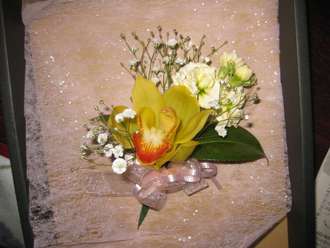 a0158236_1117851.jpg
