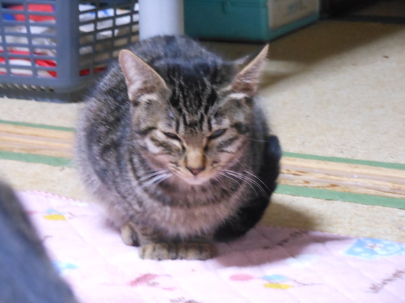 a0319840_8442425.jpg