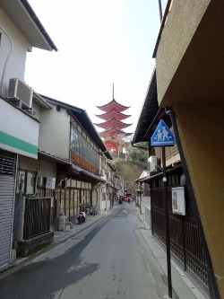 e0110940_156861.jpg