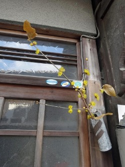 e0110940_22253.jpg