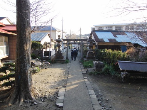 どんど焼き。_e0222340_1749493.jpg