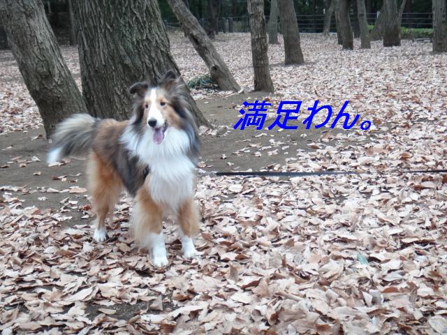 休日お散歩ビオトープ_e0195743_2305070.jpg