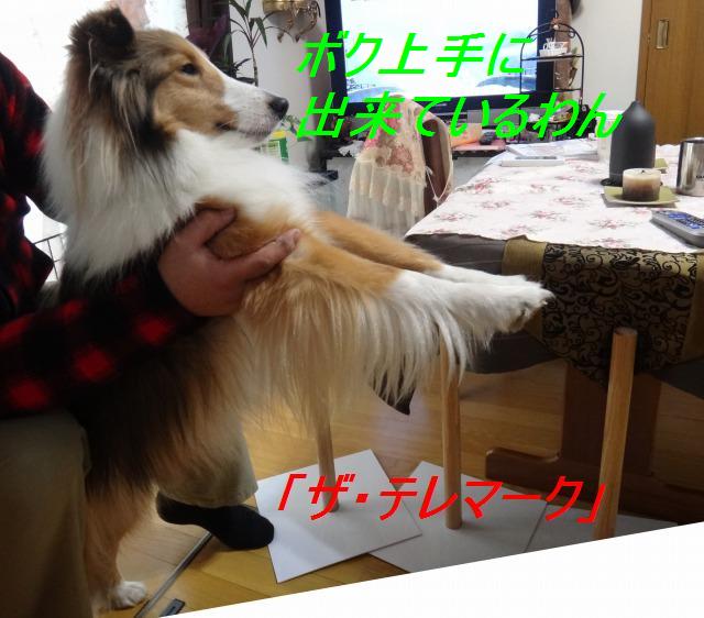 休日お散歩ビオトープ_e0195743_2452519.jpg