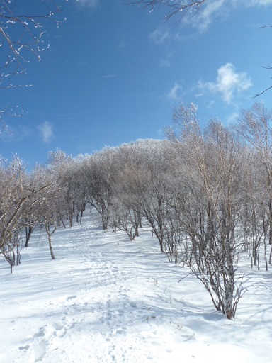 1/13　赤城山（黒檜山～駒ヶ岳）_d0288144_23022602.jpg