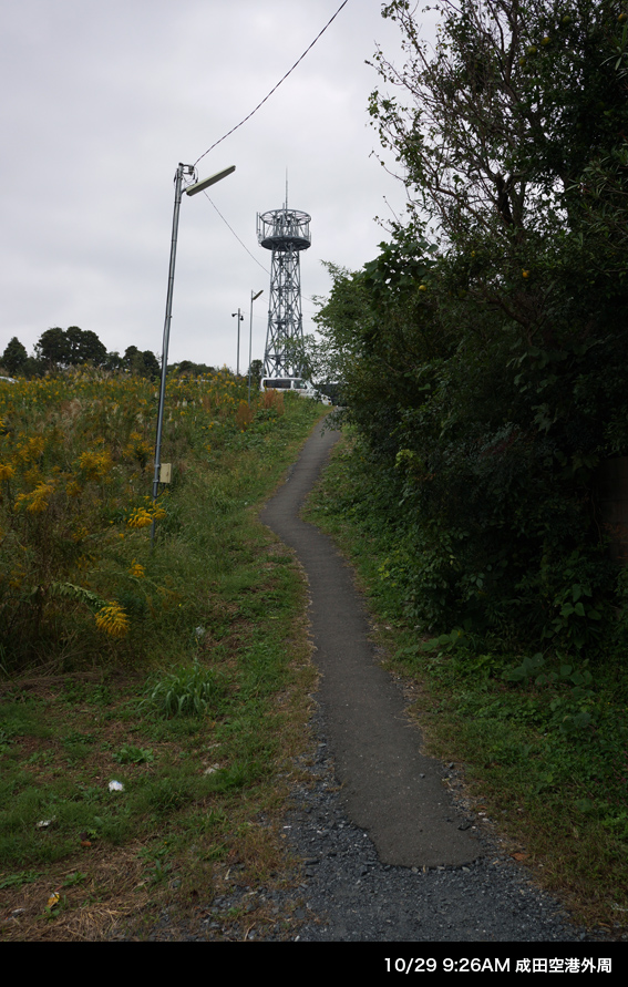 c0035245_2254574.jpg