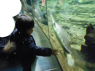 名古屋港水族館へＧＯ！_c0261346_2134440.jpg