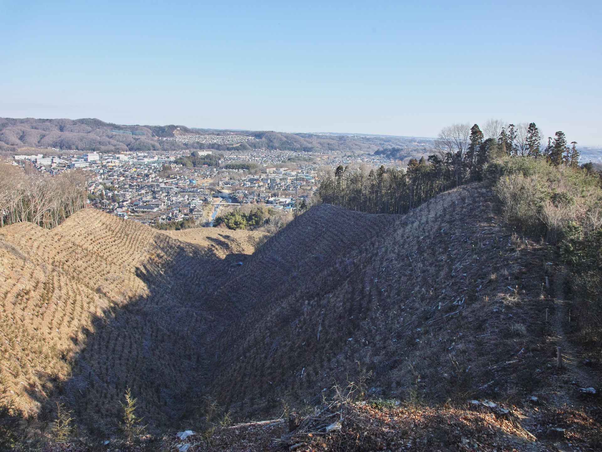 c0008948_1259515.jpg