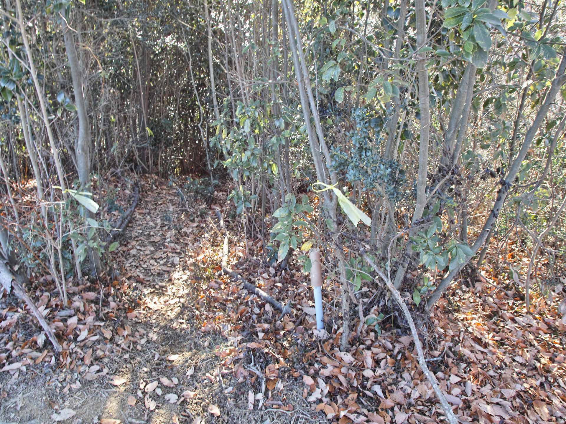 c0008948_14491640.jpg