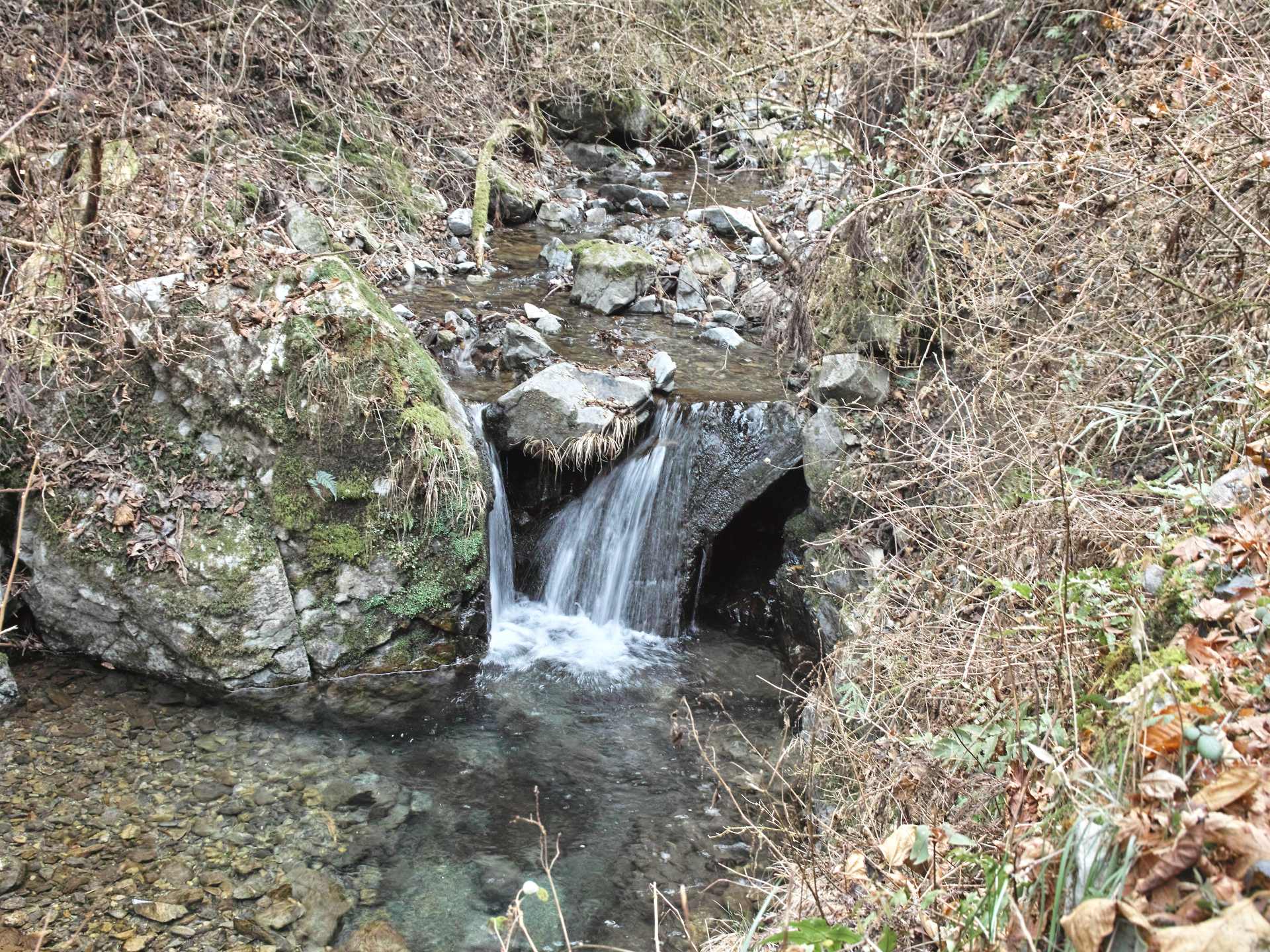 c0008948_2019403.jpg