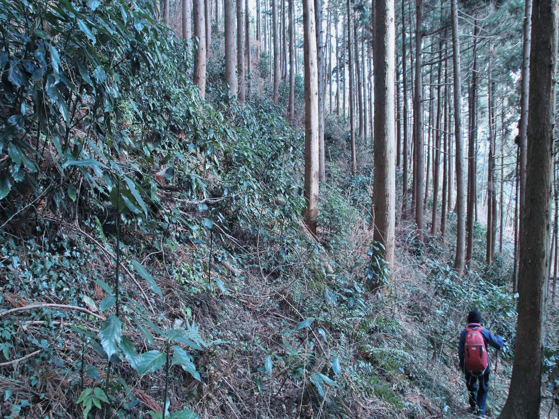 c0008948_2081217.jpg
