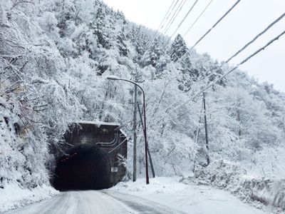寒波の長期滞在_e0248949_2303456.jpg