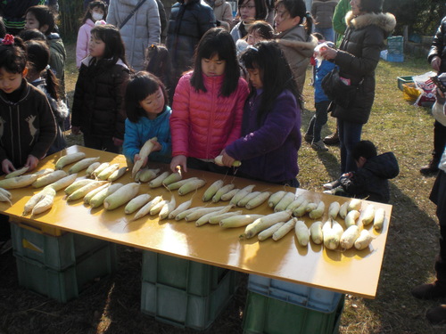 豚汁おいしいね!!_f0079749_98473.jpg