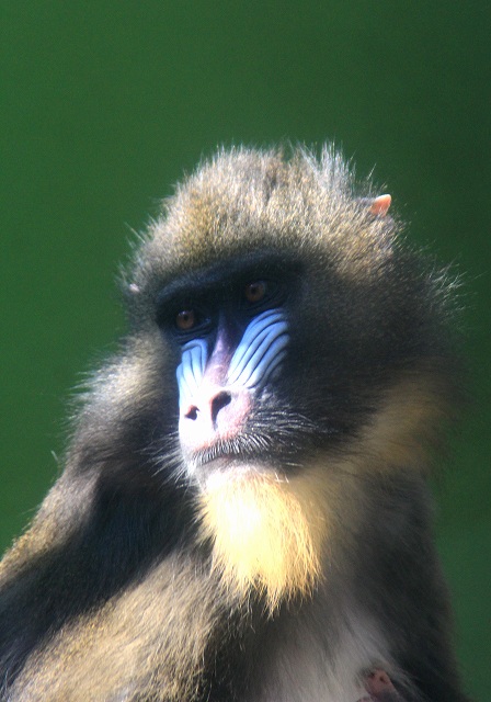 冬の動物園－１_f0288049_2235073.jpg