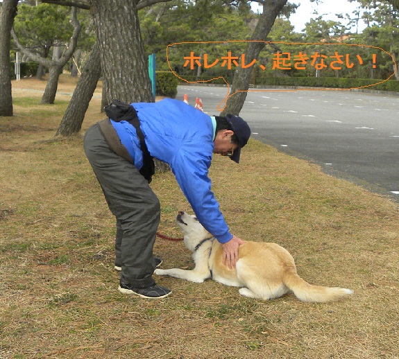 １／１４　　　正月の葉山一色海岸　２／２_b0201756_1873454.jpg