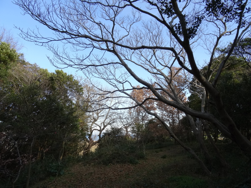 c0108460_15010854.jpg