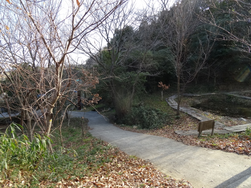 c0108460_15011017.jpg