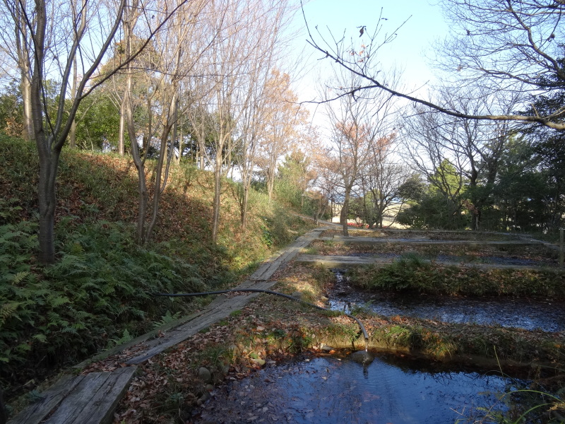 c0108460_15011254.jpg