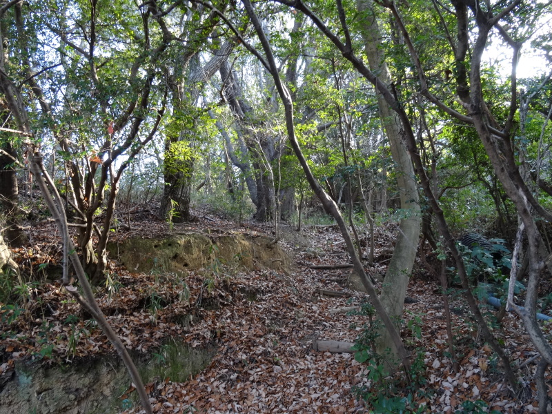 c0108460_15011367.jpg