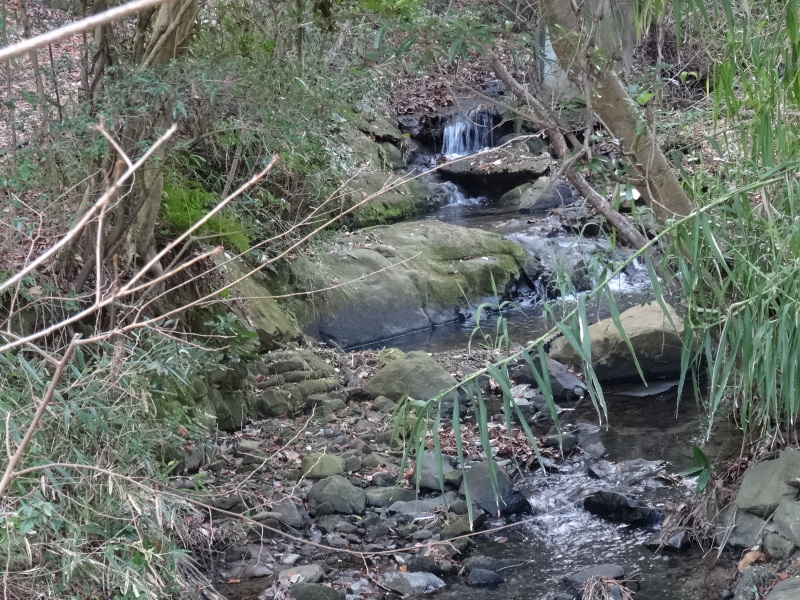 c0108460_15011595.jpg