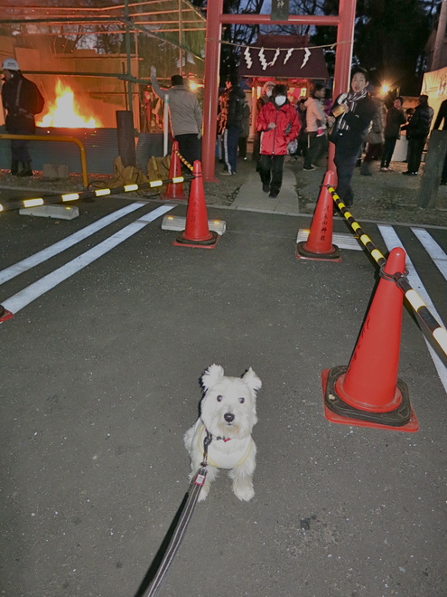なんでこんな寒い時期なの?「どんと祭」_c0260460_20214781.jpg