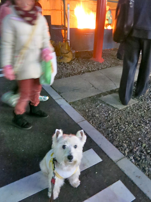 なんでこんな寒い時期なの?「どんと祭」_c0260460_20221253.jpg