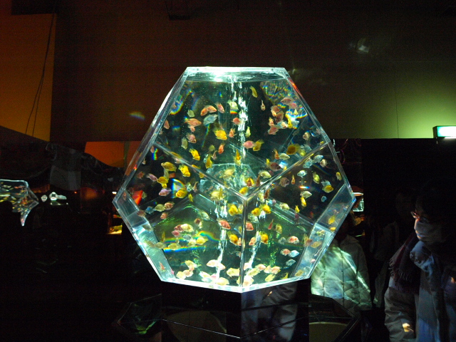 札幌　アートアクアリウム展_d0153062_832155.jpg