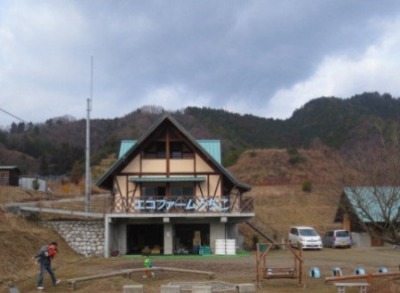 いちご狩り エコファーム内子 愛媛県職員ブログ