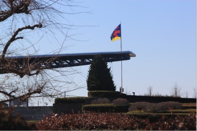 e0330372_90323.jpg