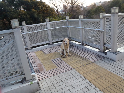 f0052277_1201549.jpg