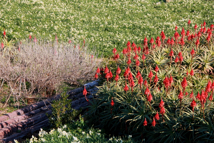 e0165983_1021712.jpg
