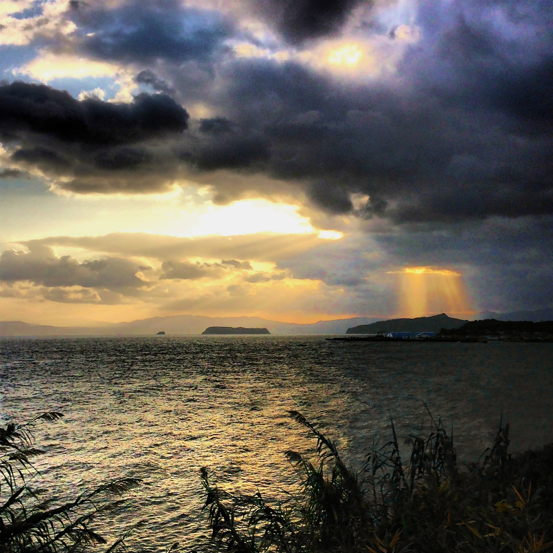2014/01/09 Mountain Running Trip in Kagoshima 鹿児島 Day.2 鬼門平、清見岳、矢筈岳_b0220886_1713201.jpg