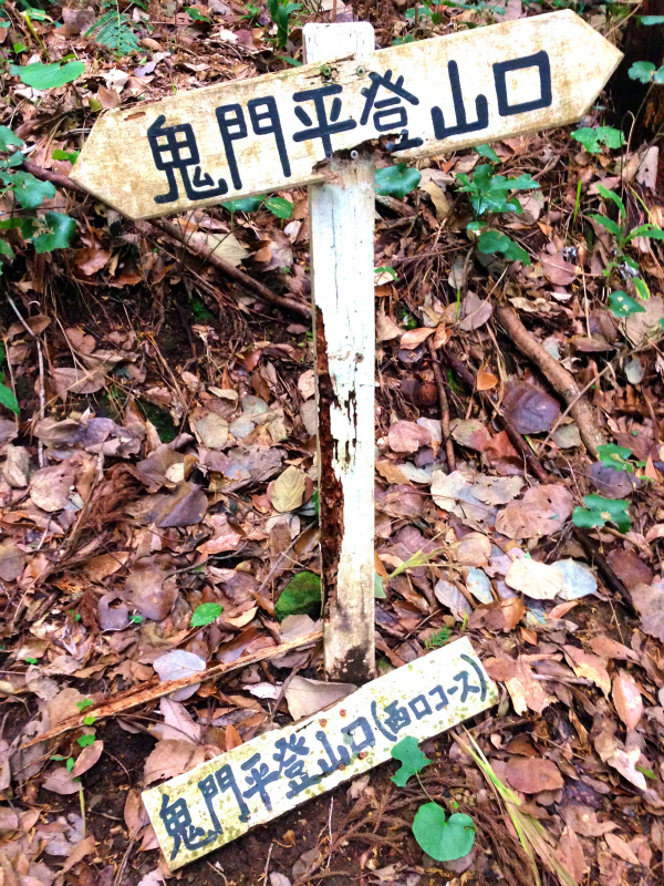 2014/01/09 Mountain Running Trip in Kagoshima 鹿児島 Day.2 鬼門平、清見岳、矢筈岳_b0220886_17154853.jpg