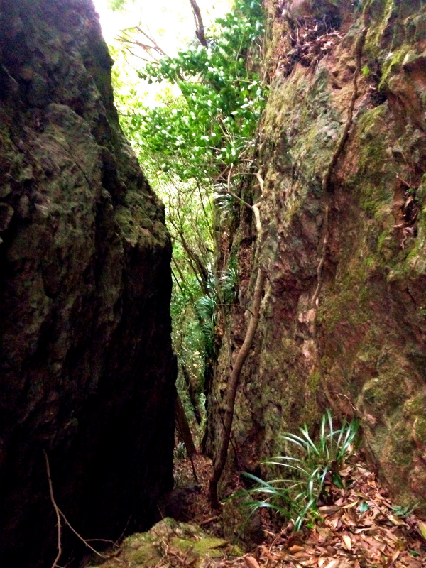 2014/01/09 Mountain Running Trip in Kagoshima 鹿児島 Day.2 鬼門平、清見岳、矢筈岳_b0220886_17205579.jpg