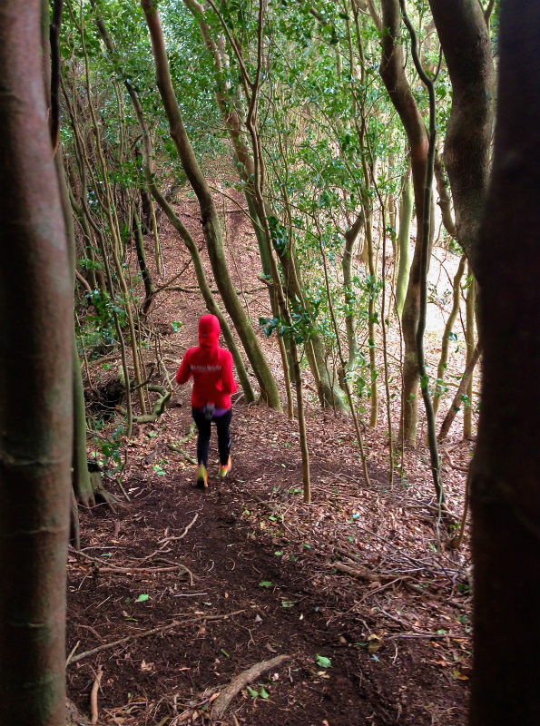 2014/01/09 Mountain Running Trip in Kagoshima 鹿児島 Day.2 鬼門平、清見岳、矢筈岳_b0220886_1722226.jpg