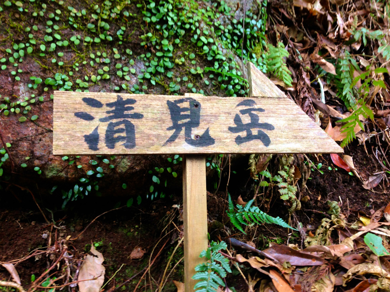 2014/01/09 Mountain Running Trip in Kagoshima 鹿児島 Day.2 鬼門平、清見岳、矢筈岳_b0220886_17295627.jpg