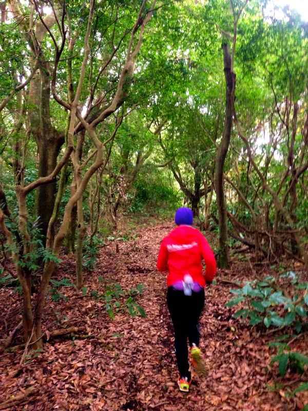 2014/01/09 Mountain Running Trip in Kagoshima 鹿児島 Day.2 鬼門平、清見岳、矢筈岳_b0220886_17312242.jpg