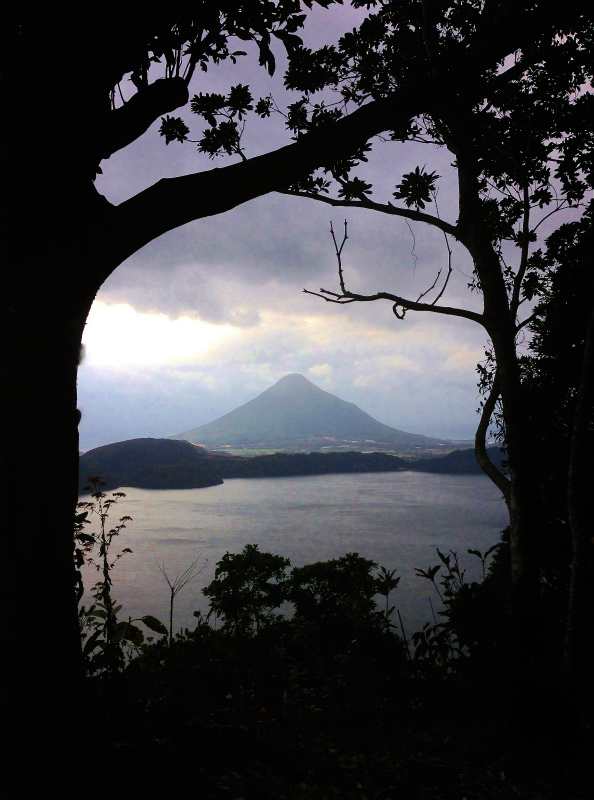 2014/01/09 Mountain Running Trip in Kagoshima 鹿児島 Day.2 鬼門平、清見岳、矢筈岳_b0220886_17325699.jpg