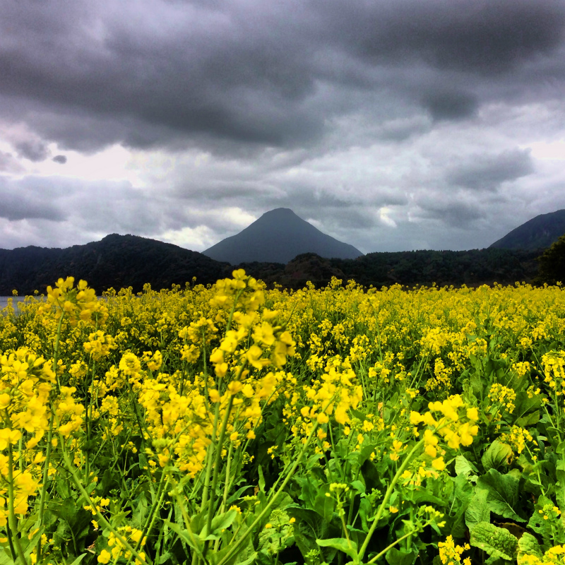 2014/01/09 Mountain Running Trip in Kagoshima 鹿児島 Day.2 鬼門平、清見岳、矢筈岳_b0220886_17403319.jpg